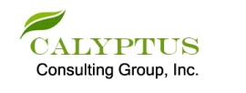 Calyptus Consulting Group logo